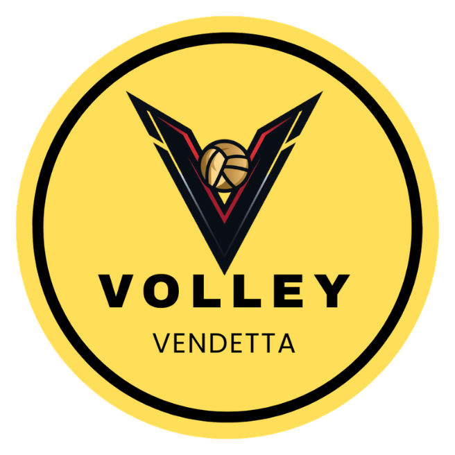 Volley Vendetta Logo
